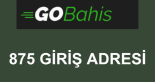 GOBahis 875 giriş