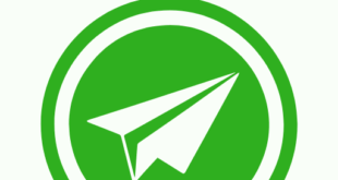 GOBahis telegram